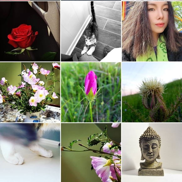 Meet your Posher, Cassi - Picture 15 of 16